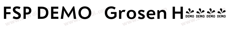 FSP DEMO   Grosen H字体转换